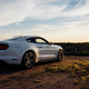 Illustration for article titled 2015 EcoBoost Mustang: Pony With A Power Problem